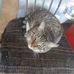 Robby Landis - Facebook