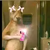 Richardrios290 - @nairobby.lopez - TikTok