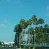 Robby Lopez - @robbylopez3 - TikTok