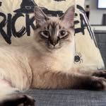 Robbie mason - @robbiemason35 - Instagram