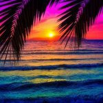 Robby Moore - @robbymoore35 - Instagram
