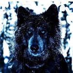 Robby Moore - @robbymoore390 - Instagram