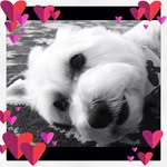 Robby Rodriguez - @robby_rodriguez - Instagram