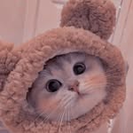 Robby Rodriguez - @rob_me103 - Instagram