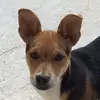 RobbyRodriguezBorges - @robbyrodriguezborges - TikTok