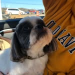 Robbie Sharp - @robbiesharp1956 - Instagram
