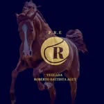 YEGUADA ROBERTO BAUTISTA AGUT - @yeguadarobertobautistaagut19 - Instagram