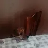Roberta Abbate - @roberta.abbate - TikTok
