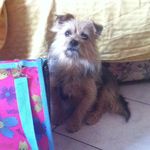 Robertabelardo - @robertabelardo5622 - Instagram