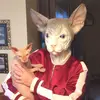 Robertable13 - @robertable13 - TikTok