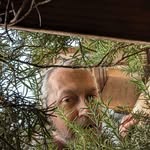 Robert Abraham - @robert.abraham.9 - Instagram