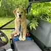 Robert Abraham - @robert.abraham0 - TikTok