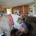 Robert Abraham - Facebook