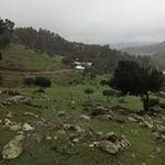 Roberto Abrigo - @roberto.abrigo - Instagram