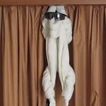 Robert Adame - @robert.adame.35 - Instagram