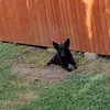 Robert Adámek - @robert.admek - TikTok
