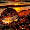 robert adel - @robert.adel - TikTok