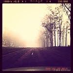 Robert Aderholt - @bursetra - Instagram