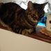 Roberta Fumelli - Facebook