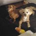 Robert Agard - Facebook