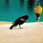 Robert Agne - @x2u2m2 - Instagram