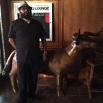 Robert Alaniz - @manshow4185 - Instagram