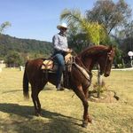 Leonardo Albarran Valdez - @robert._albarran - Instagram