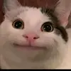 roberta.alcott - @roberta.alcott - TikTok