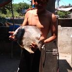 Robert Aldea - Facebook