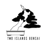 Two Islands Bonsai - @robert_allaway_bonsai - Instagram