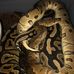 Robert Alldredge - Facebook