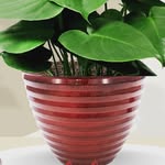 Robert Allen Home & Garden - @robertallenhg - Instagram