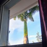 Robert Alphonse Rubiard - @robertrubiard - Instagram