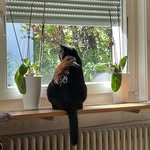 Robert alvin - @robertalvin9163_ - Instagram