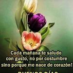 Robert  ambrosí - @robertambrosi9 - Instagram