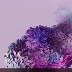 Robert Amico - @amicorobert - Instagram