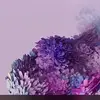 robertamico4 - @robertamico4 - TikTok