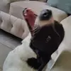 RobertaMore - @robermore07 - TikTok