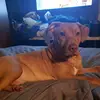Amy Roberts - @amy.roberts59 - TikTok