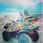 Robert Andersen - @robertbjjandersen - Instagram
