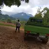 annisrobertbobby - @annisrobertbobby - TikTok