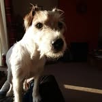 Robert Anniss - @robertanniss - Instagram