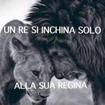 Roby Roby Roby - @roberto.ansellotti - Instagram