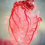 robert - @robert_antonepeter - Instagram