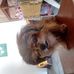 John Robert Cortez Aparicio - Facebook