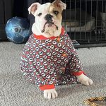 Robert Appleby - @hoagiebulldog - Instagram