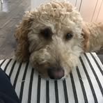 Robert Appleby - Facebook