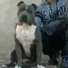 Roberto Tarango - @roberttarango - TikTok