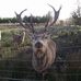 Bob Archbold - Facebook