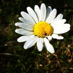 Robert Arends - @hobbspyou - Instagram